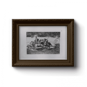 Tauromaquia Goya