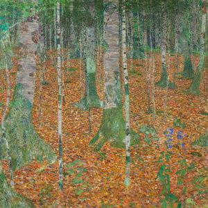 Gustav Klimt, Bosque de abedules